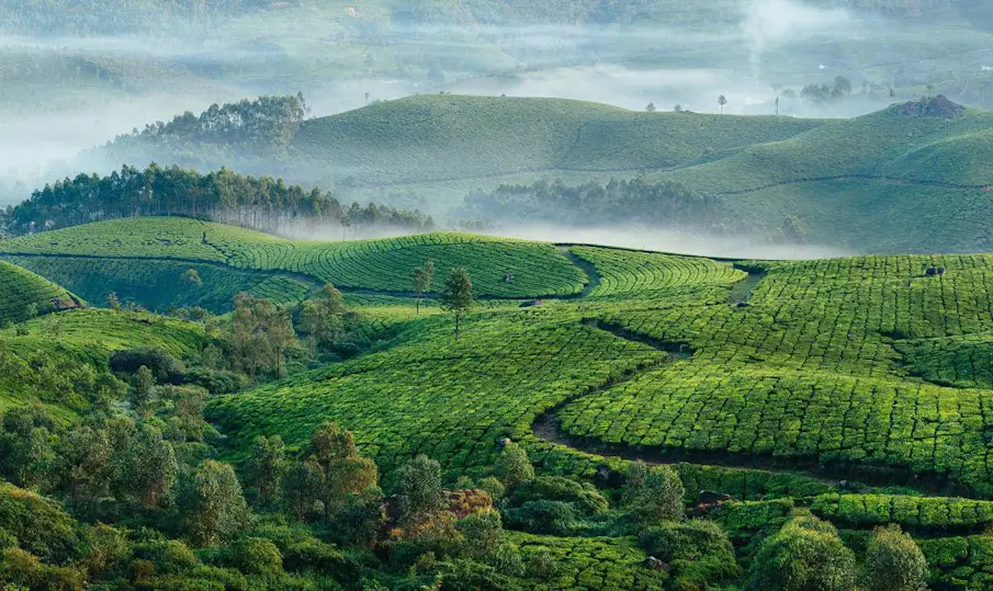 20 Most Beautiful Places to Visit in India Before You Die