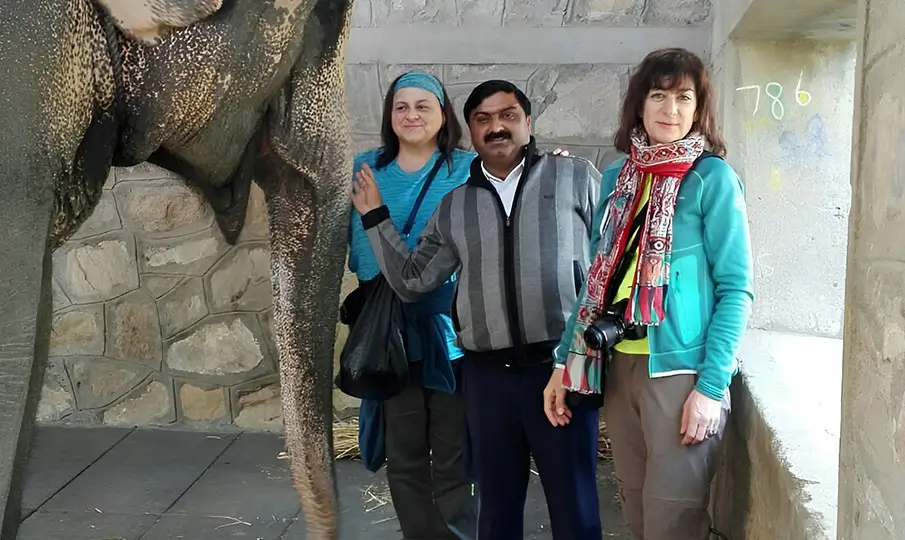 India Tour Packages Price Comparison Guide – Budget vs Premium vs Luxury