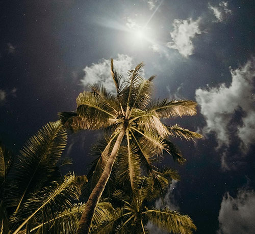 Goa Travel Guide – Beaches, Nightlife & Coastal Getaways