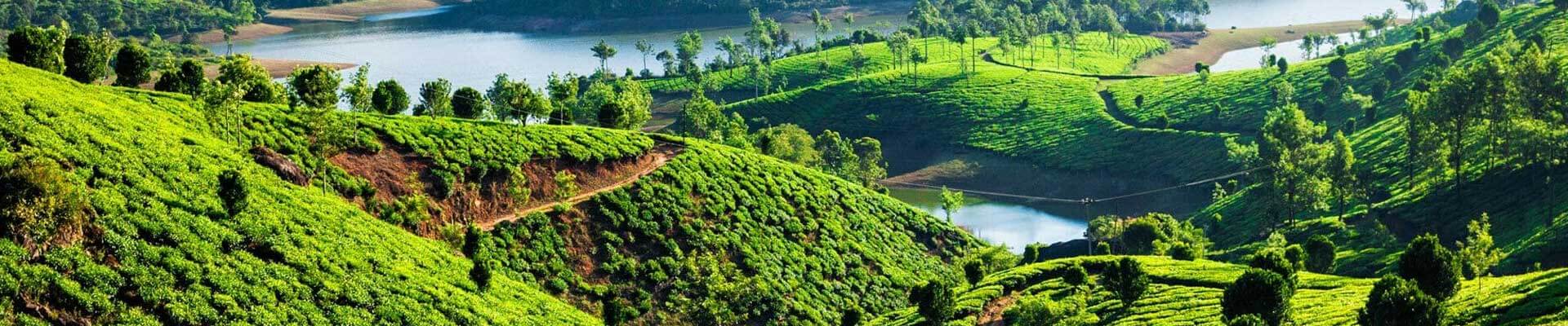 Kerala 11-Day Tour Package | Backwaters & Nature Trails