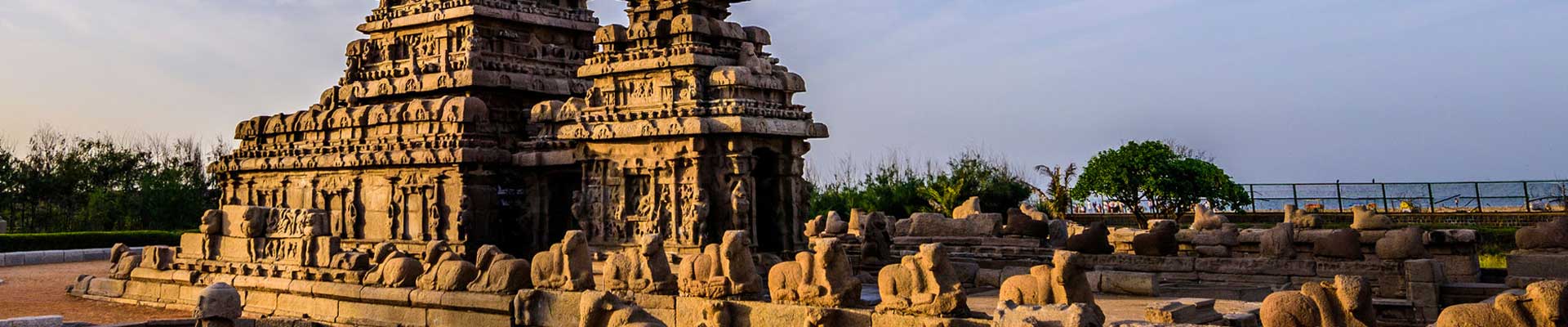 Southern Taste of India Tour | Authentic Food & Culture Experience