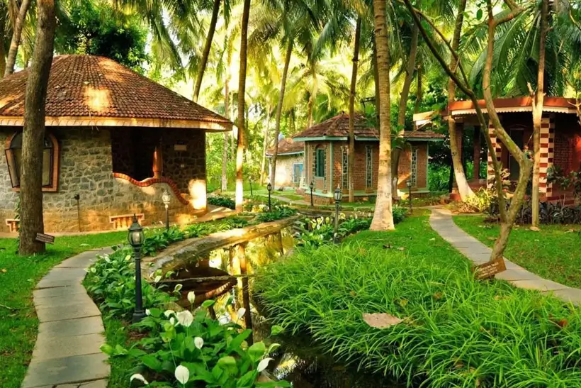 Complete Kerala Spiritual & Ayurveda Retreat Tour