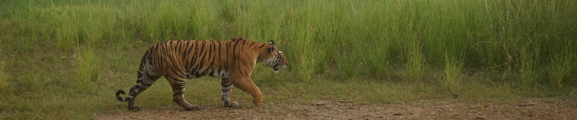 19 Nights 20 Days North India Tour