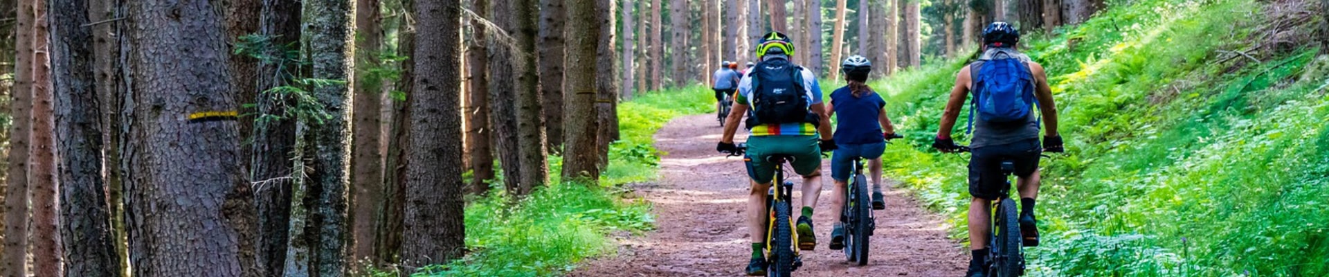 Same Day Delhi Bicycle Tour