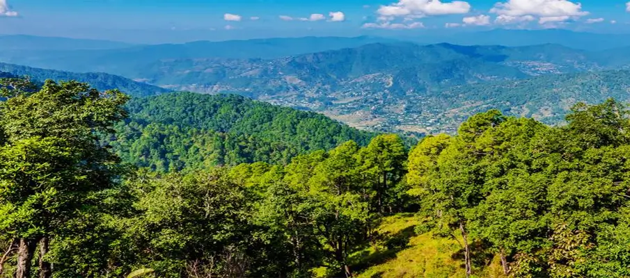 binsar-uttarakhand