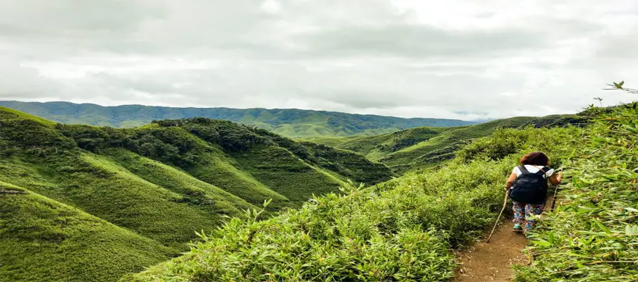 dzukou-valley-nagaland