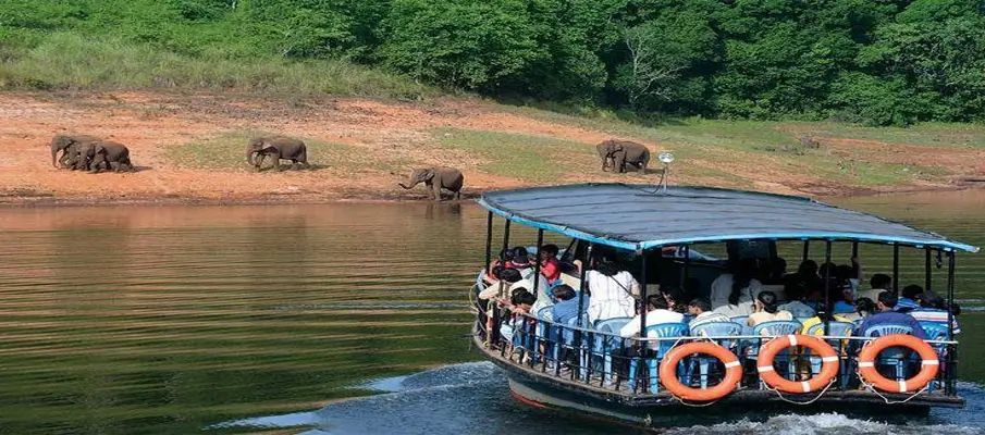 thekkady-and-periyar-wildlife-and-nature
