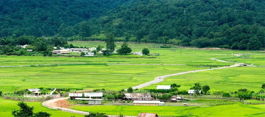 ziro-valley-arunachal-pradesh